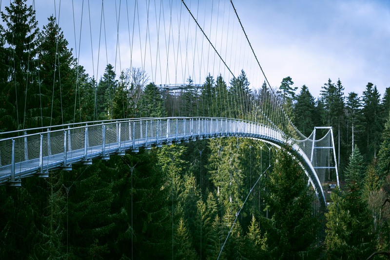 vapic Schwarzwaldbrücke für die Lohnreinigung